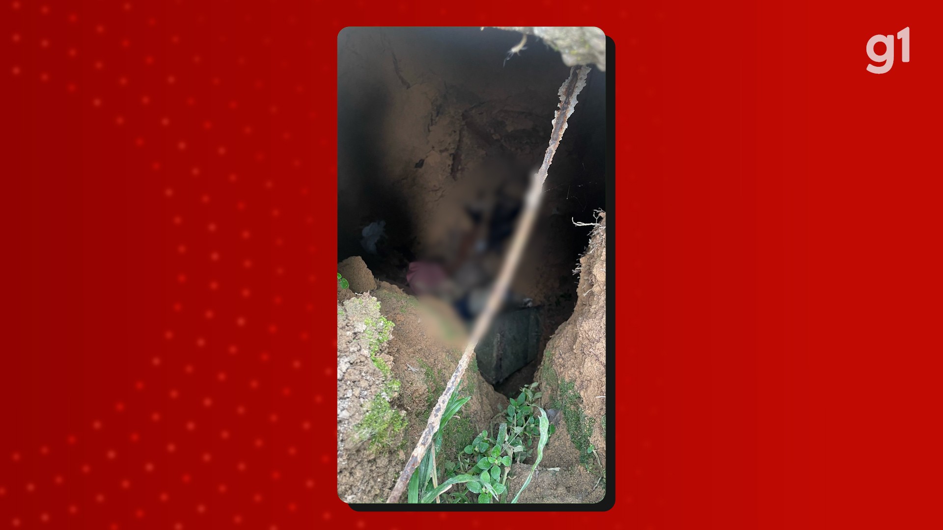 Homem é preso por matar 6 gatos e alegar que seria para ‘rituais macabros’ no AM, diz polícia