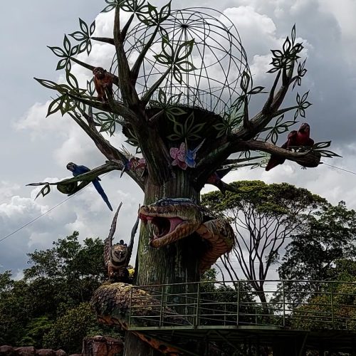 Fechado desde a pandemia, parque com mais de 52 hectares de floresta amazônica sofre com abandono em Manaus