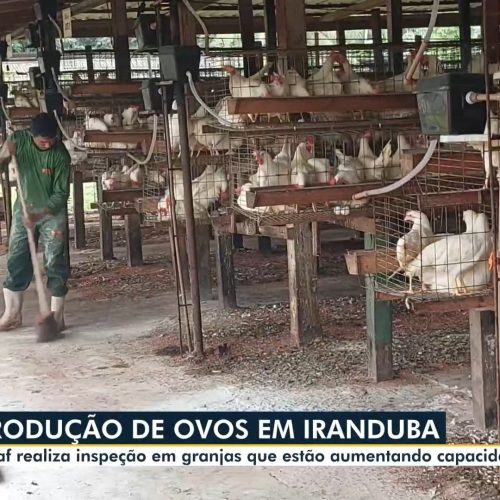 Bom Dia Amazonas desta sexta-feira, 7 de março de 2025