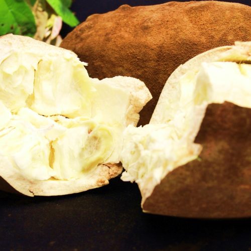 Antioxidante natural e base para o ‘cupulate’: conheça os benefícios do cupuaçu, fruto nativo da Amazônia