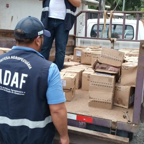 Quase 7 toneladas de alimentos com prazo de validade vencidos são apreendidos em Manaus